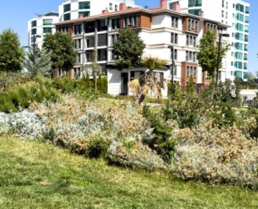 Dik Yamaçlar Güvende: Erozyonu Durduran 12 Akıllı Mat Fikri